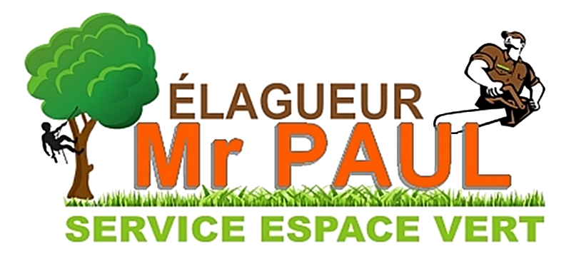 logo_mr_paul